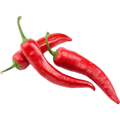 capsicum frutescens_resultat